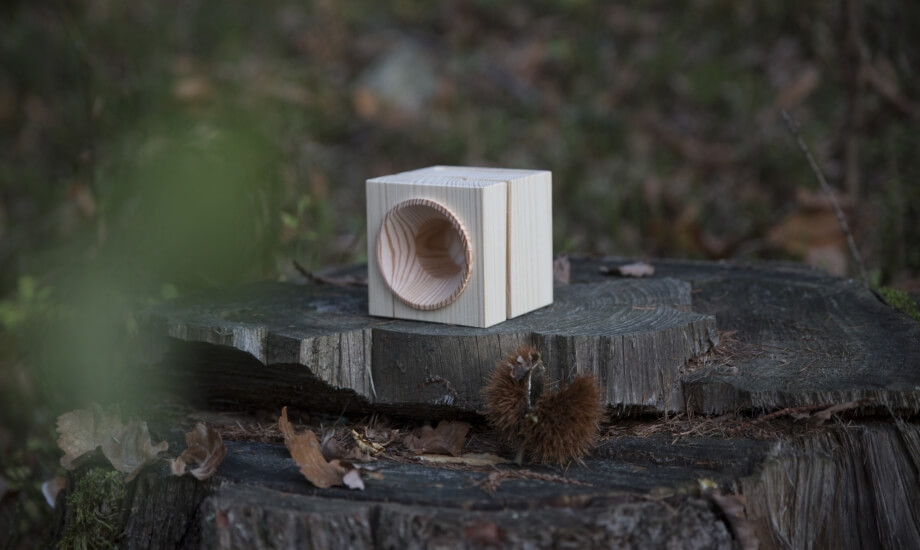 Cubo di legno bianco con un foro circolare, posizionato su un ceppo d'albero in un ambiente forestale sereno.