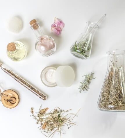 Varietà di contenitori in vetro con materiali vegetali, fiori e erbe su sfondo bianco.