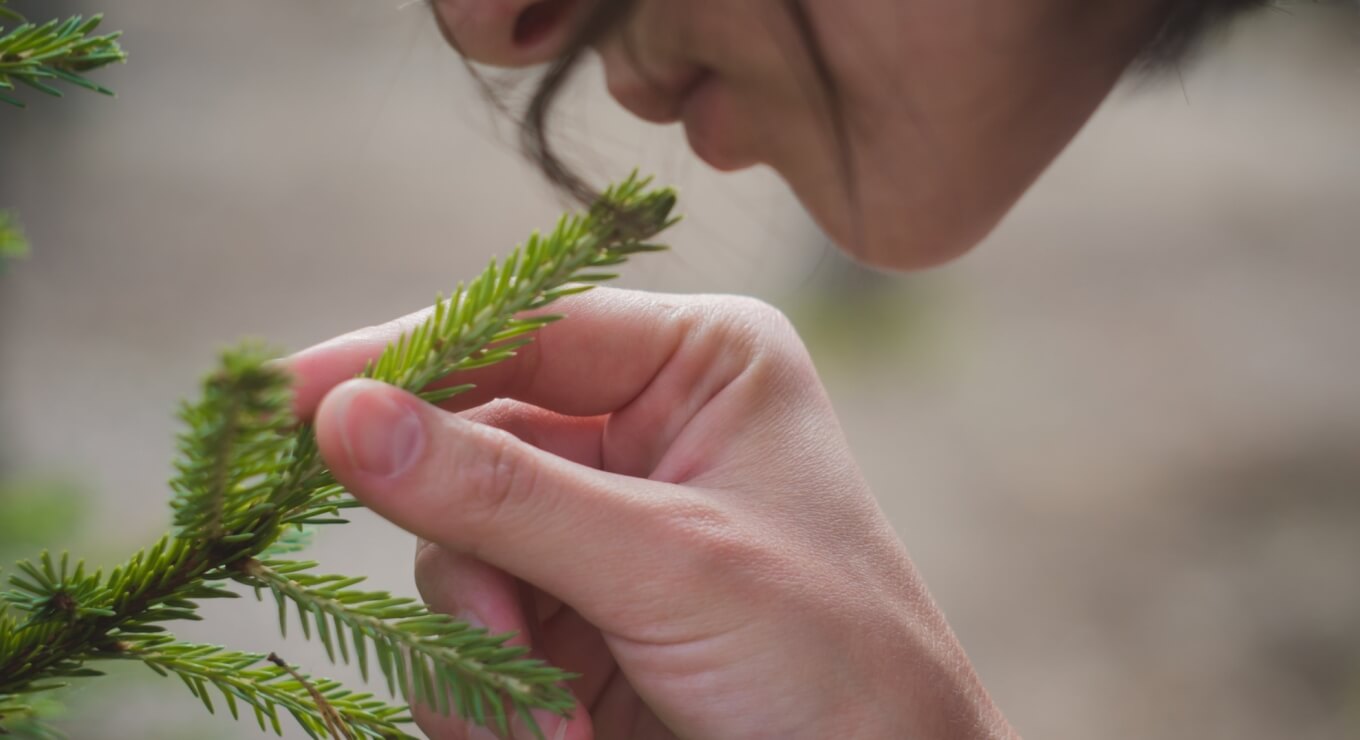Una donna annusa un ramo di pino, con metà del viso visibile e un'atmosfera di relax nella natura.