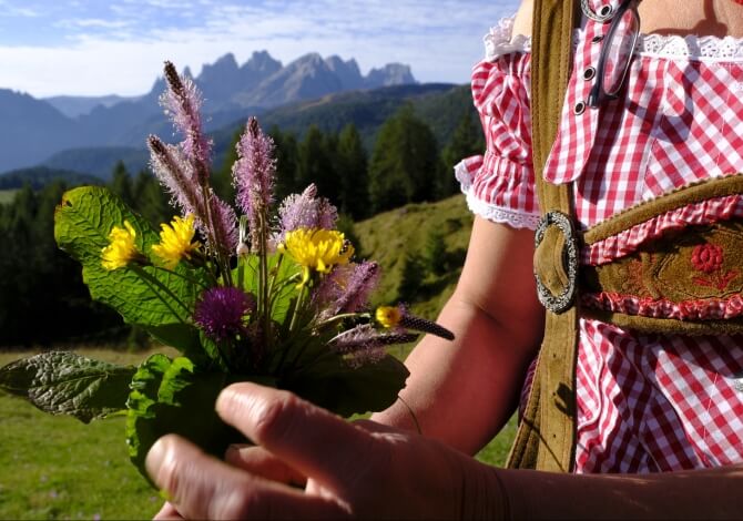 Fiori del Trentino