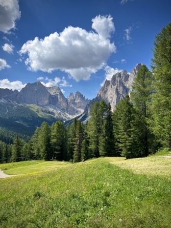 Paesaggio montano con erba verde, fiori gialli e cime rocciose.