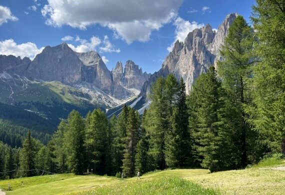 Catena montuosa con alberi, fiori gialli e figure che camminano.
