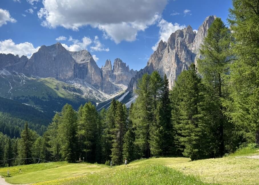 Paesaggio montano con montagne grigie, cielo blu, prato verde e foresta di pini. Fiorellini gialli nel prato.