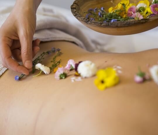 Wellness treatments with flowers from Trentino