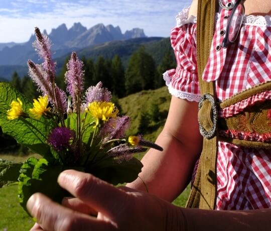 Flowers of Trentino
