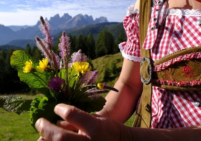 Flowers of Trentino