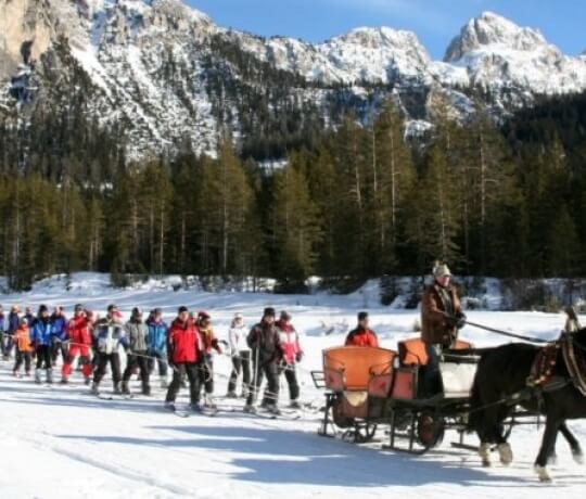 Skilift ecologico - Cavallo da traino per sciatori