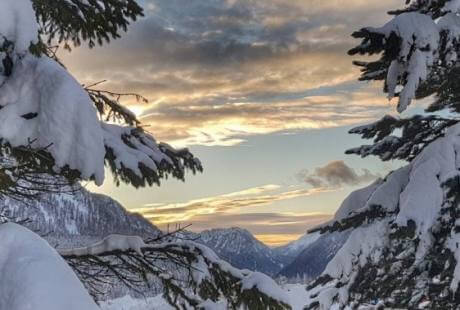 Scena invernale serena con alberi di pino coperti di neve, montagne e cielo nuvoloso al tramonto.