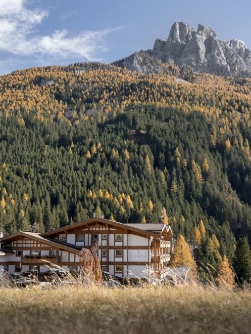 Hotel "OLYMPIC" in montagna, circondato da alberi e rocce.