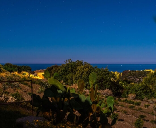 Serene nighttime scene with a blue-purple sky, lush greenery, a dark body of water, and warm yellow lights along the shore.
