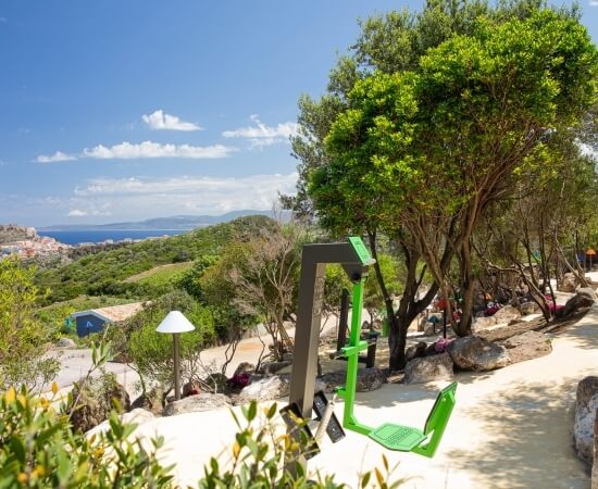 Una macchina da esercizio verde in una spiaggia serena, circondata da alberi, cespugli e un paesaggio montano.