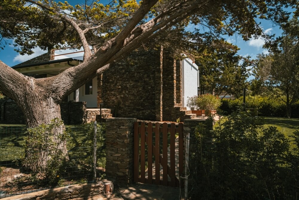 Edificio in pietra con cancello, albero spoglio e piante in vaso.