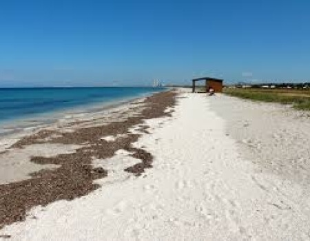 Spiaggia sabbiosa con acqua blu, struttura in legno e alghe.
