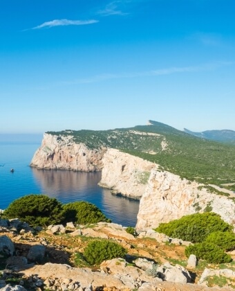 Acqua blu incontra scogliere chiare e vegetazione verde.