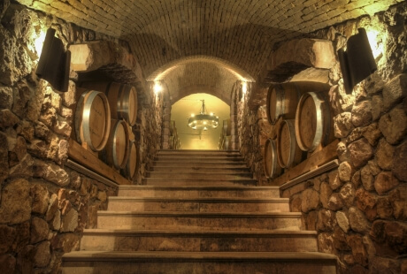 Scala di pietra in una cantina con botti di vino e lampadario.