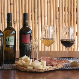 Degustazioni vino in cantina Alghero