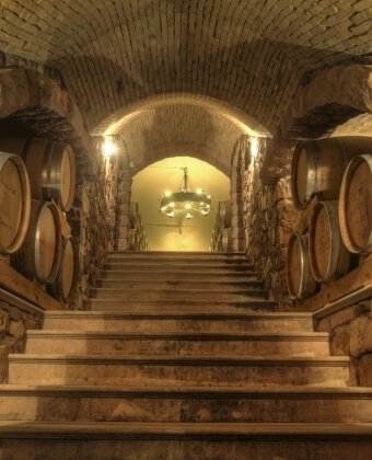 Scala di pietra in una cantina con barili di legno.