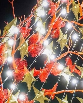 Struttura decorata con stelle dorate, ornamenti rossi e luci bianche.