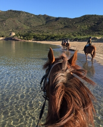 Gruppo di persone a cavallo lungo una spiaggia sabbiosa.