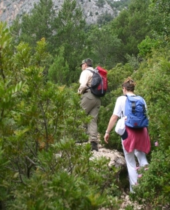 Due persone camminano su un sentiero roccioso e verdeggiante.