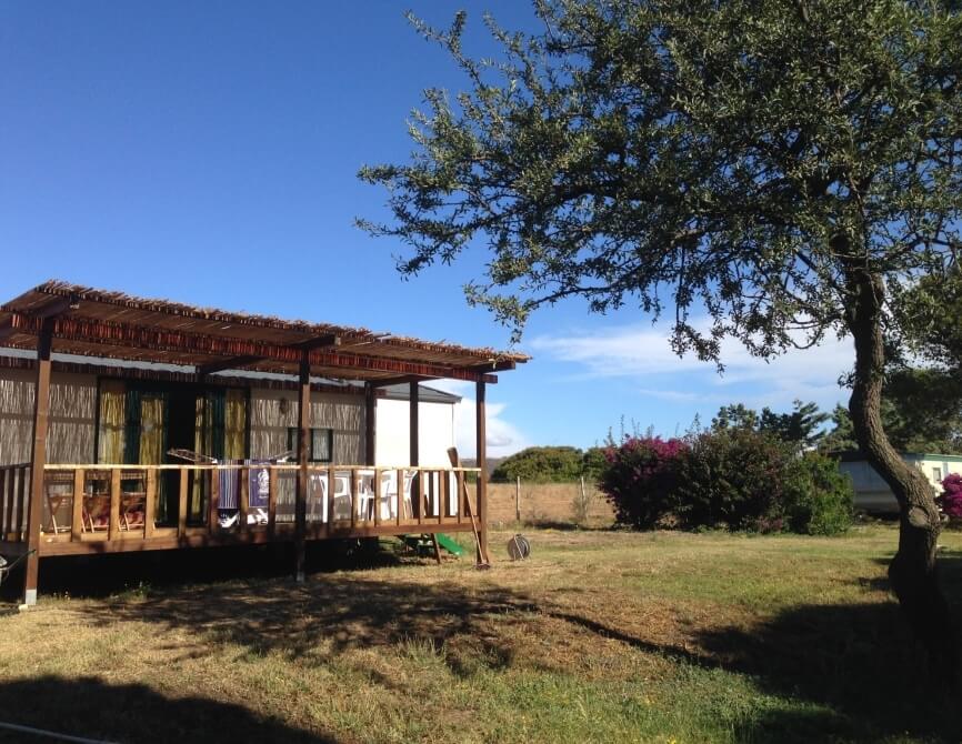 Edificio con terrazza in legno, tetto di paglia e alberi.