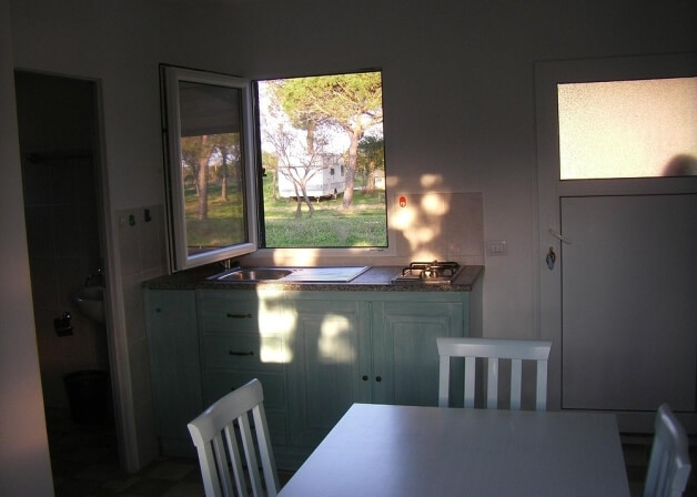 Piccola cucina con lavandino, fornelli, tavolo e vista su prato.