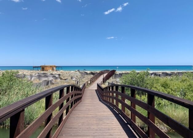 Ponte in legno che conduce a una spiaggia con vegetazione.