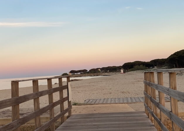 Sentiero di legno verso una spiaggia sabbiosa al tramonto.