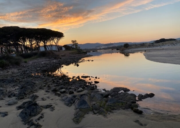 Acqua calma riflette cielo e alberi, con sabbia e rocce.