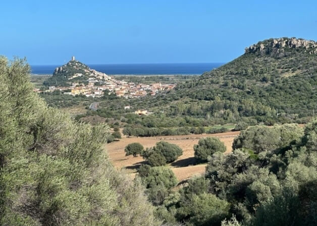 Collina verde con alberi, paese con torri e mare sullo sfondo.