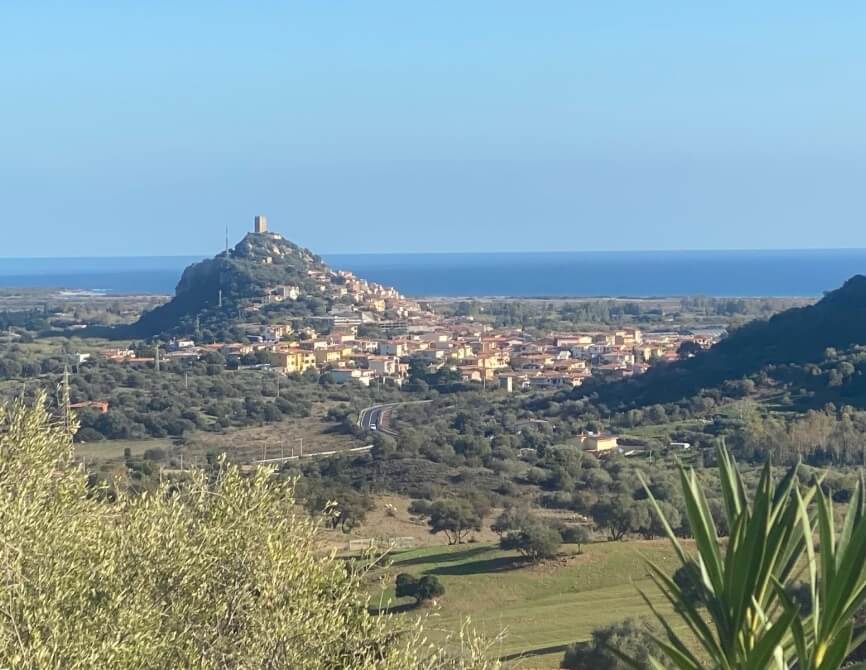 Una città collinare con torri, mare e alberi d'ulivo.