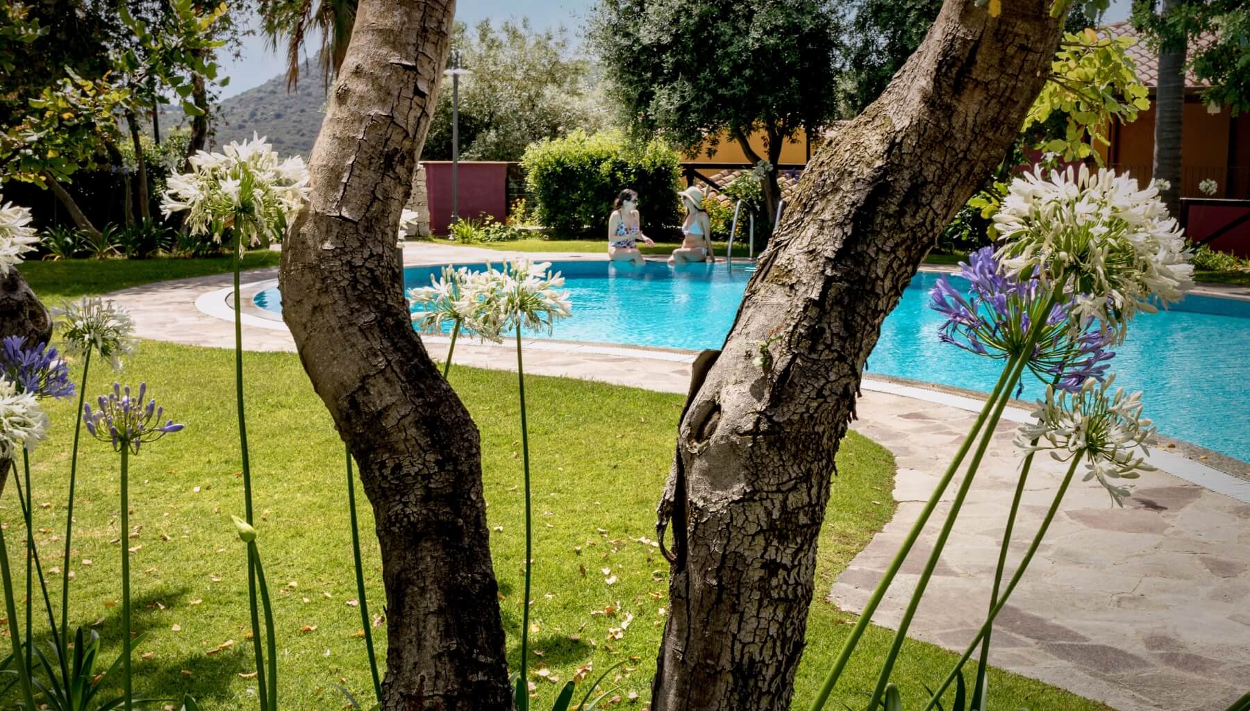 piscina e giardino 