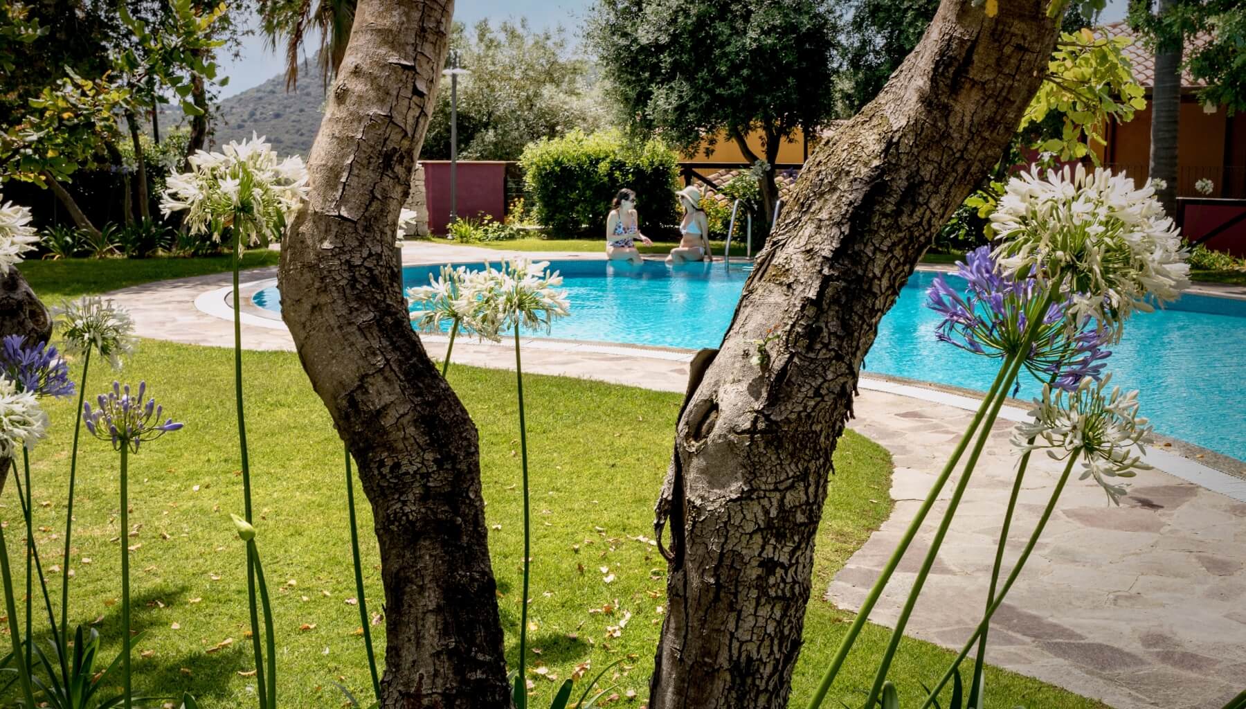 piscina e giardino