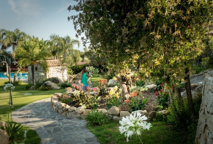 une zone du jardin 