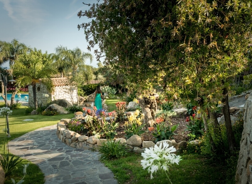 une zone du jardin 