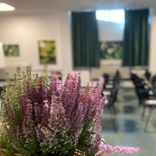 dettaglio fiori sala riunioni