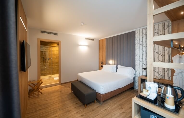 Hotel room with king bed, shower, TV, and shelf unit.