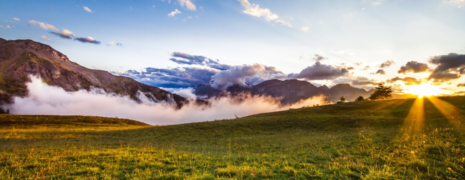 Paesaggio sereno con montagne nuvolose, prato verde con fiori, alberi e un tramonto che irradia calore.