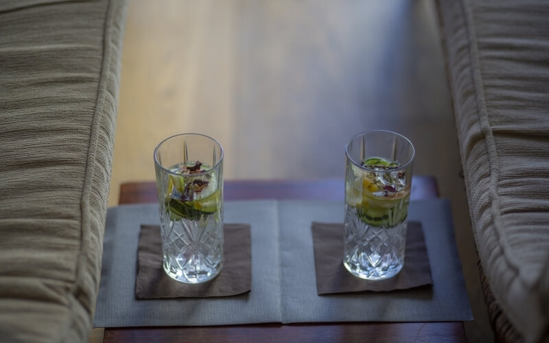 Two identical glasses with ice, lemon, lime, and herbs on a table between couches in a living room setting.