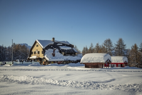 Serene winter scene with a large yellow house, red cabins, snowy landscape, tire tracks, and tall trees under a blue sky.