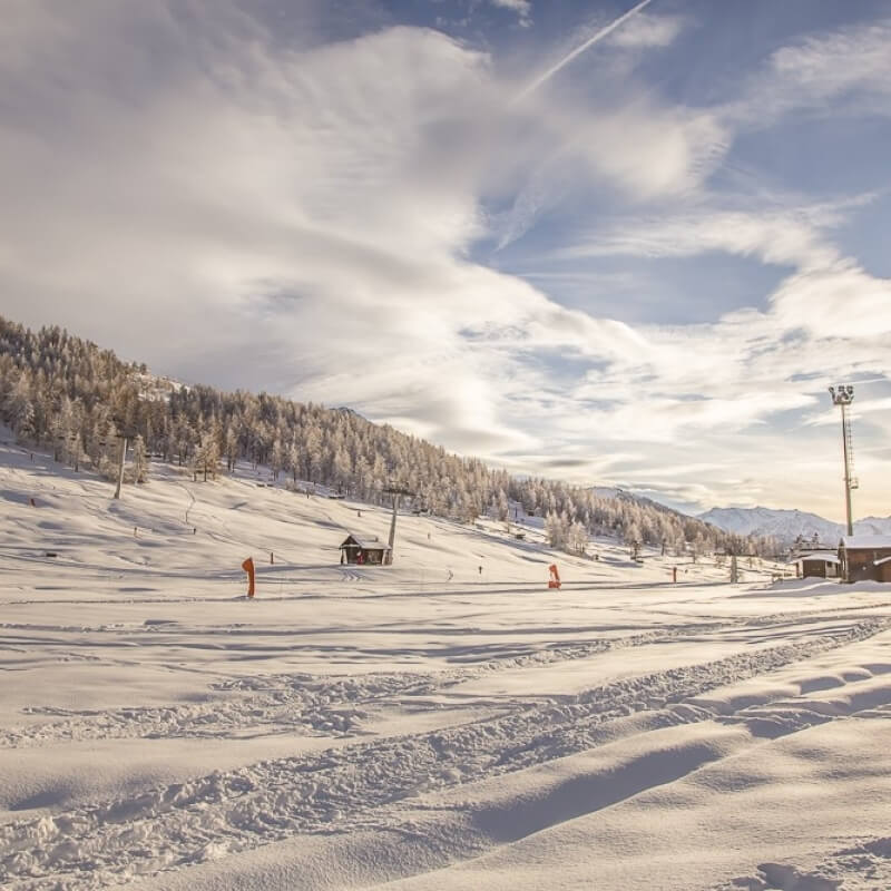 Serene winter landscape with a snow-covered slope, scattered trees, and distant ski resort buildings under a clear sky.