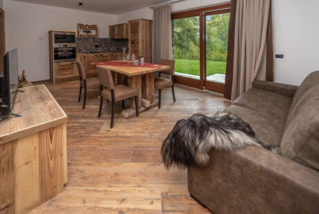 Cozy living room and kitchen with a dog on a brown couch, wooden furniture, and a view of a green lawn through a large window.