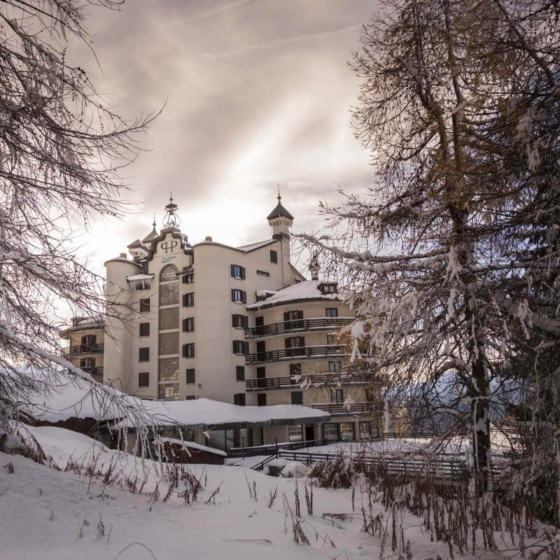 Large white multi-story building with dark trim in a snowy landscape, surrounded by snow-covered trees under a gray sky.