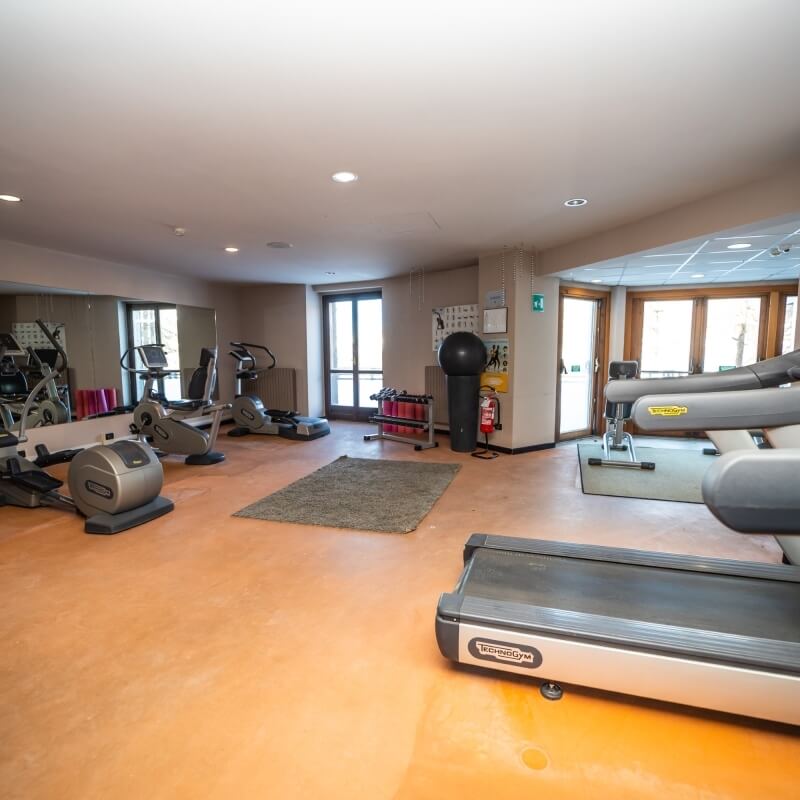 Modern gym with treadmills, weights, and bright lighting, featuring a spacious layout and large windows for natural light.