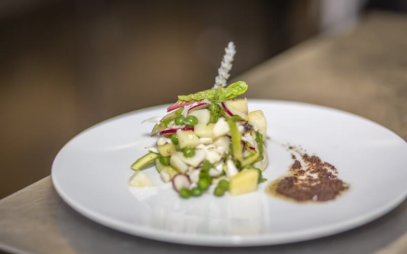 A white plate with a vegetable salad, cheese or crab, garnished with herbs, next to a dark brown sauce on a blurred kitchen countertop.