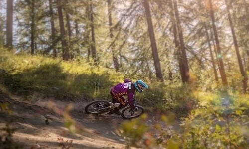 Person in a purple and orange jersey rides a mountain bike down a dirt path in a sunlit forest with green foliage.