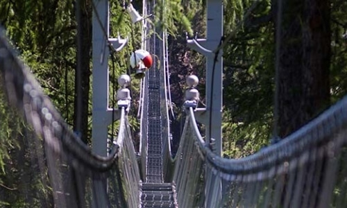 Suspension bridge between tall trees, with metal cables and a helicopter on a landing pad above, surrounded by dappled sunlight.