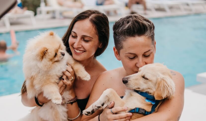 Due donne con cani davanti a una piscina, una con un Pomerania e l'altra con un cucciolo di golden retriever.