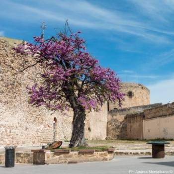 Piazza Pino Piras Alghero