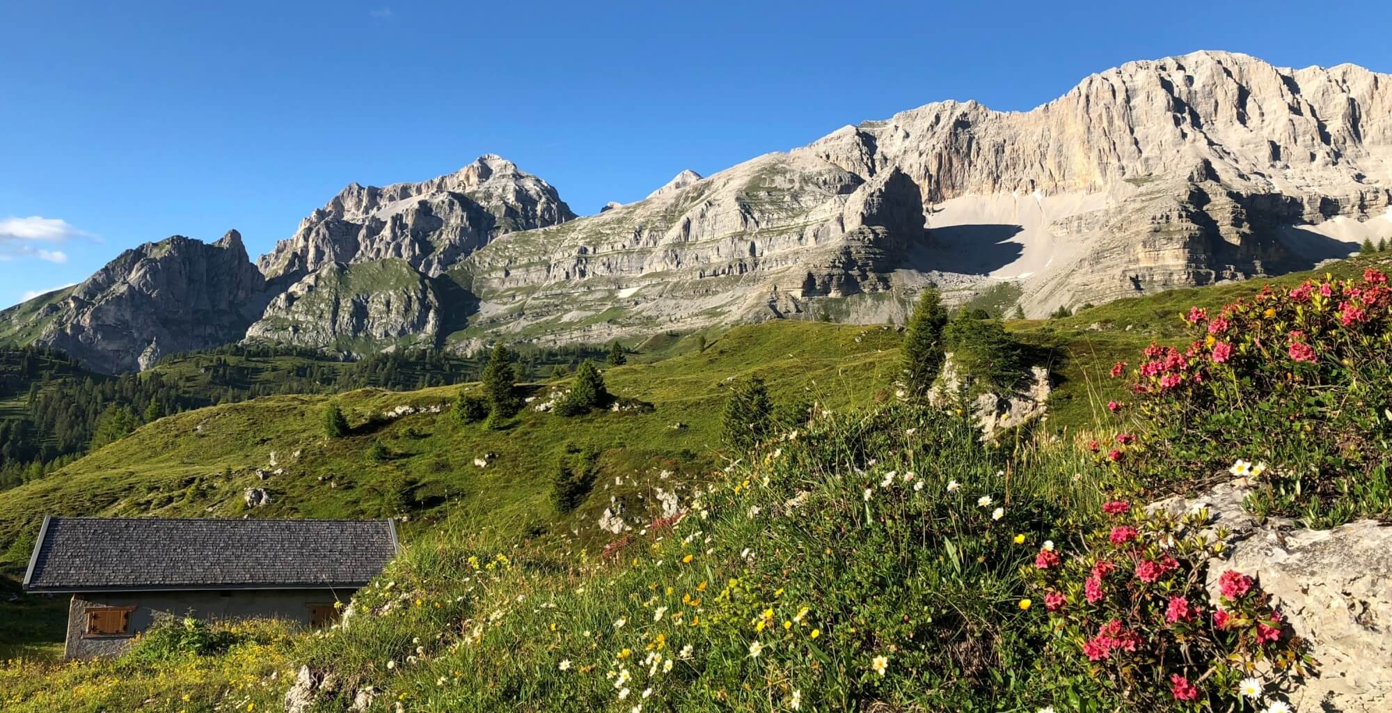 Ruhige Berglandschaft mit einem kleinen Gebäude, bunten Wildblumen und klarem blauen Himmel.